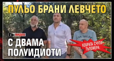 Кобрата счупи тъпомера: Пульо брани левчето с двама полуидиоти (ВИДЕО)