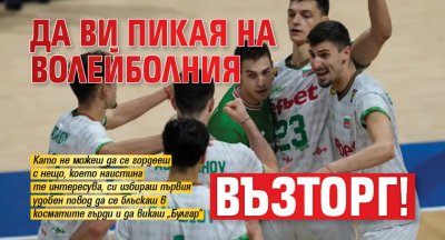 Да ви пикая на волейболния възторг!