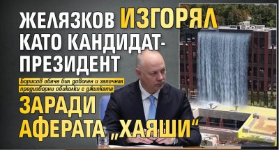 Желязков изгорял като кандидат-президент заради аферата „Хаяши“