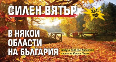 Жълт код: Силен вятър в някои области на България