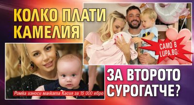 Само в Lupa.bg: Колко плати Камелия за второто сурогатче?