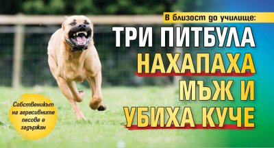 В близост до училище: Три питбула нахапаха мъж и убиха куче 