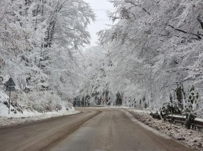 Петрохан вече е проходим, почистиха го от снега 