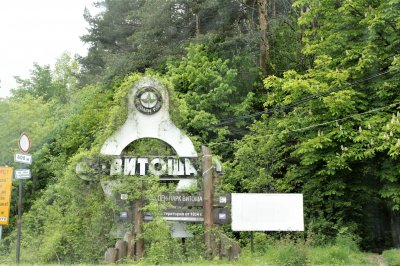 Не ходете в планината: Силен горолом кърши дърветата на "Витоша"