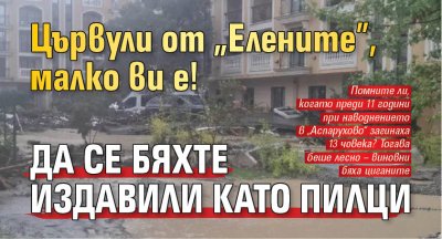 Цървули от "Елените", малко ви е! Да се бяхте издавили като пилци