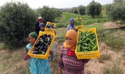Световният пазар на био продукти ще достигне 84 милиарда долара