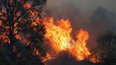 Голям пожар лумна в Свиленград, изгоряха къщи и коли 