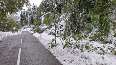 "Петрохан" остава затворен