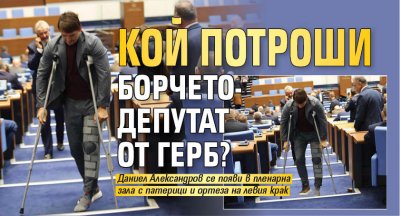 Кой потроши борчето-депутат от ГЕРБ? 