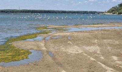Критично ниско ниво на водата в Дунав край Лом