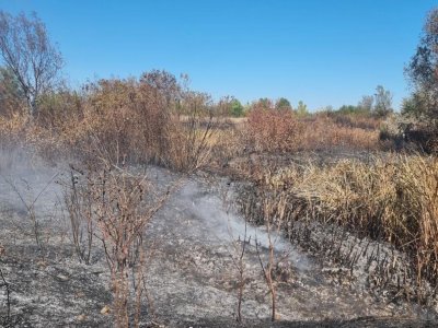 Два големи пожара избухнаха в Хасковско