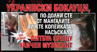 ШОК СНИМКИ: Украински боклуци, по-долни сте от мангалите - вижте копейката, насъскала питбул срещу уличен музикант