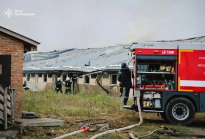 13 000 прасета са убити при руска атака с дронове срещу свинекомбинат в Харковска област