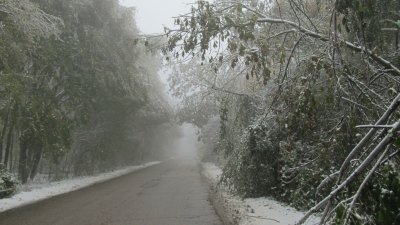 Първи за сезона сняг падна по високите части на Смолянско