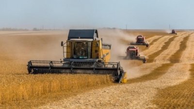 Украйна е ожънала 33 млн. тона зърно през тази година