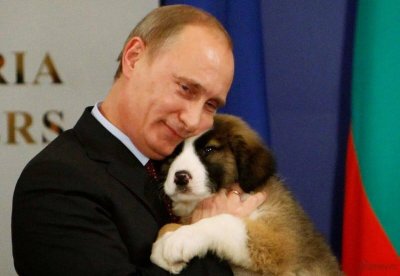 Руското посолство поздрави Путин за ЧРД с кучето от Бойко 