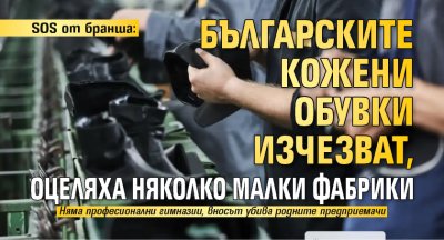 SOS от бранша: Българските кожени обувки изчезват, оцеляха няколко малки фабрики