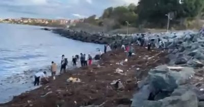 Водолази откриха митичния сейф с пари и злато в Царево