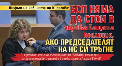 Шефът на кабинета на Киселова: БСП няма да стои в управляващата коалиция, ако председателят на НС си тръгне 