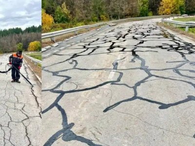 "Паяжината" край Русе подпали мрежата