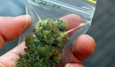 Задържаха мъж с близо 800 грама канабис