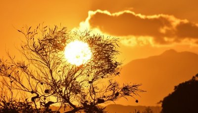  Чакат ни 57 смъртоносно горещи дни до края на века 