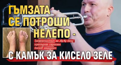 Гъмзата се потроши нелепо - с камък за кисело зеле