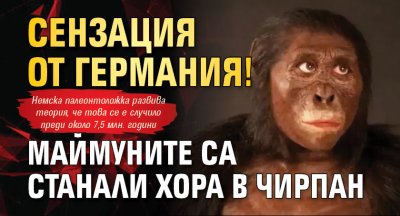 Сензация от Германия! Маймуните са станали хора в Чирпан
