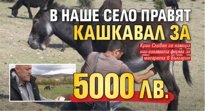 В наше село правят кашкавал за 5 000 лв. 