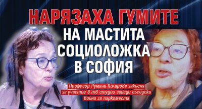Нарязаха гумите на мастита социоложка в София
