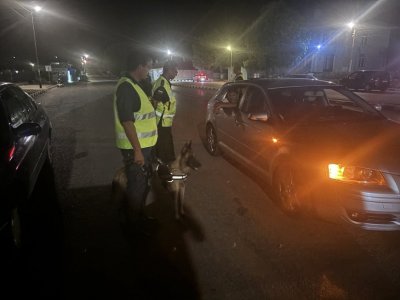 Битов скандал в Сунгурларе замалко да свърши с два трупа