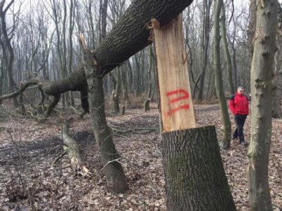 Украинската армия си върна село Торске