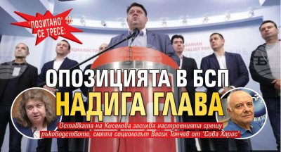 "Позитано" 20 се тресе: Опозицията в БСП надига глава