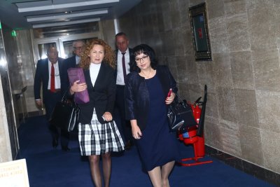 Кой ще лапне 1,4 милиона от Теменужка да рекламира еврото?