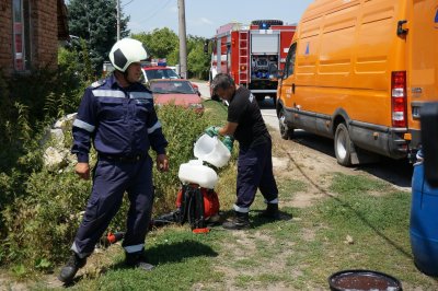 Ужас: Плъзна антракс в Хасковско