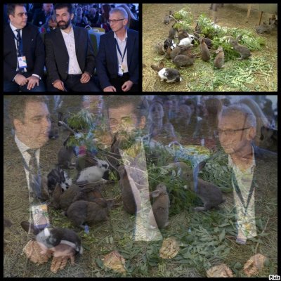 Седмицата: Как се гризва дървото на (не)промяната