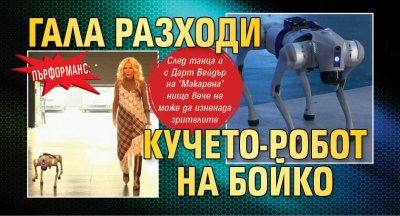 ПЪРФОРМАНС: Гала разходи кучето-робот на Бойко