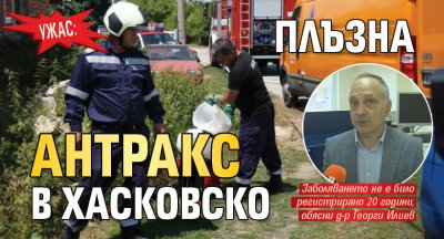 Ужас: Плъзна антракс в Хасковско