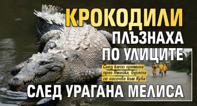 Крокодили плъзнаха по улиците след урагана Мелиса