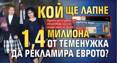 Кой ще лапне 1,4 милиона от Теменужка да рекламира еврото?