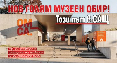 Нов голям музеен обир! Този път в САЩ