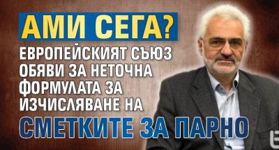 Ами сега? Европейският съюз обяви за неточна формулата за изчисляване на сметките за парно