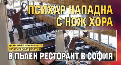 Психар нападна с нож хора в пълен ресторант в София