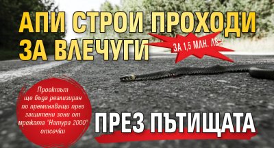 За 1,5 млн. лв.: АПИ строи проходи за влечуги през пътищата