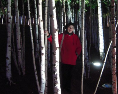 Първо в Lupa.bg: Велислава Дърева пребита от локали в центъра на София