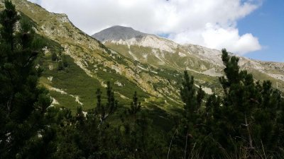 Отшелникът от Пирин е освободен, отменят смъртния му акт 