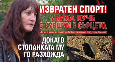 Извратен спорт! Убиха куче с куршум в сърцето, докато стопанката му го разхожда