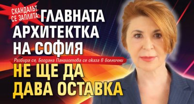 Скандалът се заплита: Главната архитектка на София не ще да дава оставка