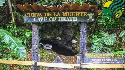 Влизаш ли, умираш! Пещера убива всичко, прекрачило прага й