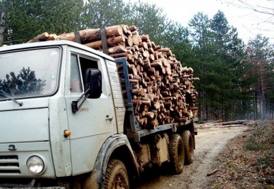 Заради повредени спирачки: Шофьор на камион скочи от движение, дърва за огрев паднаха върху него